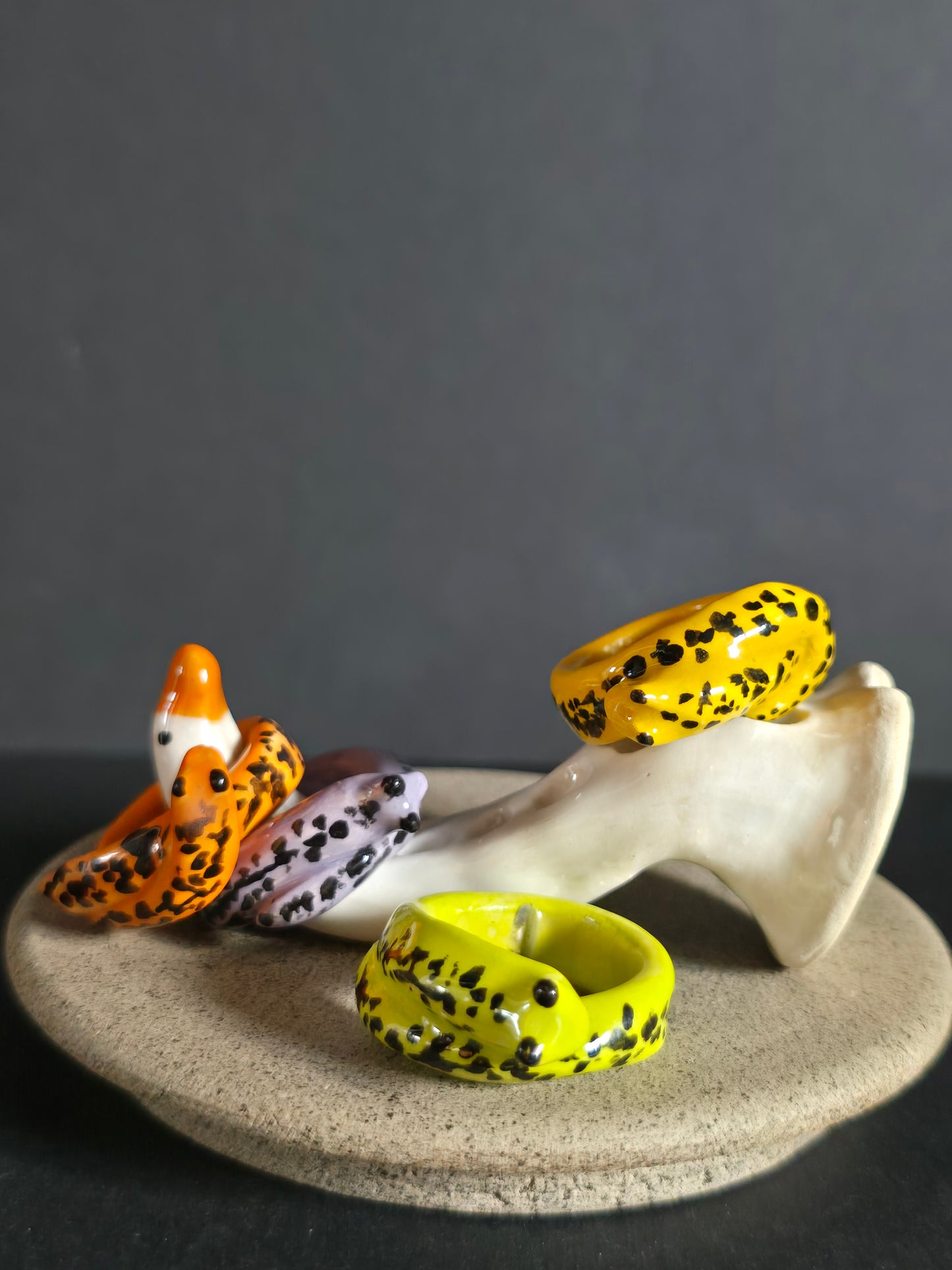 Slug Ceramic Rings