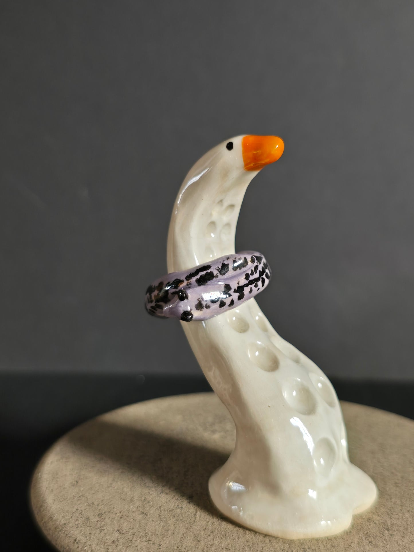 Slug Ceramic Rings