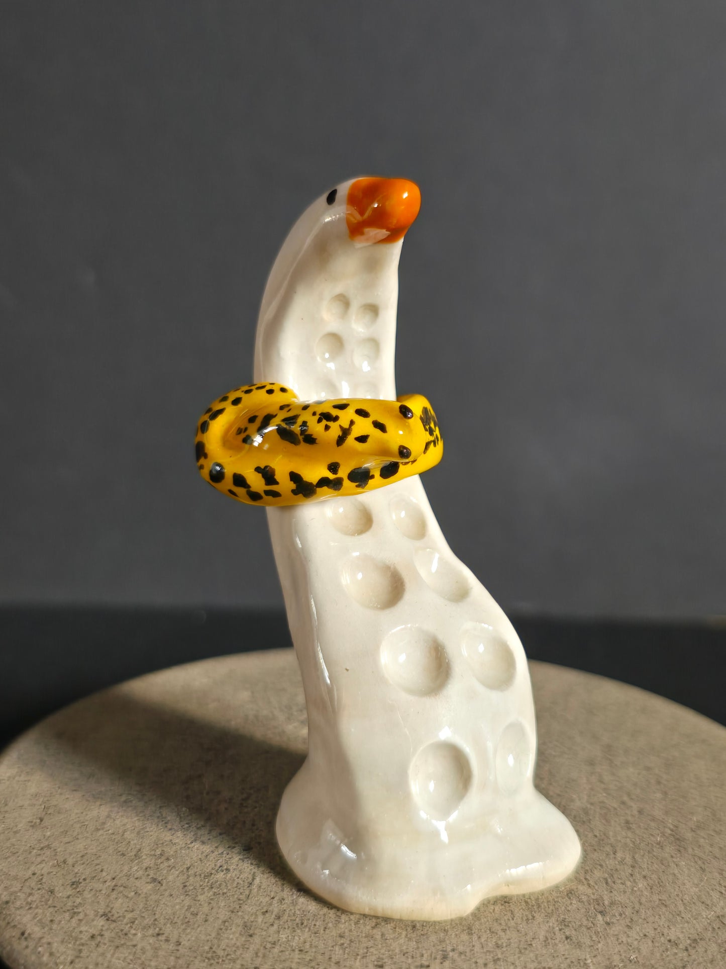 Slug Ceramic Rings